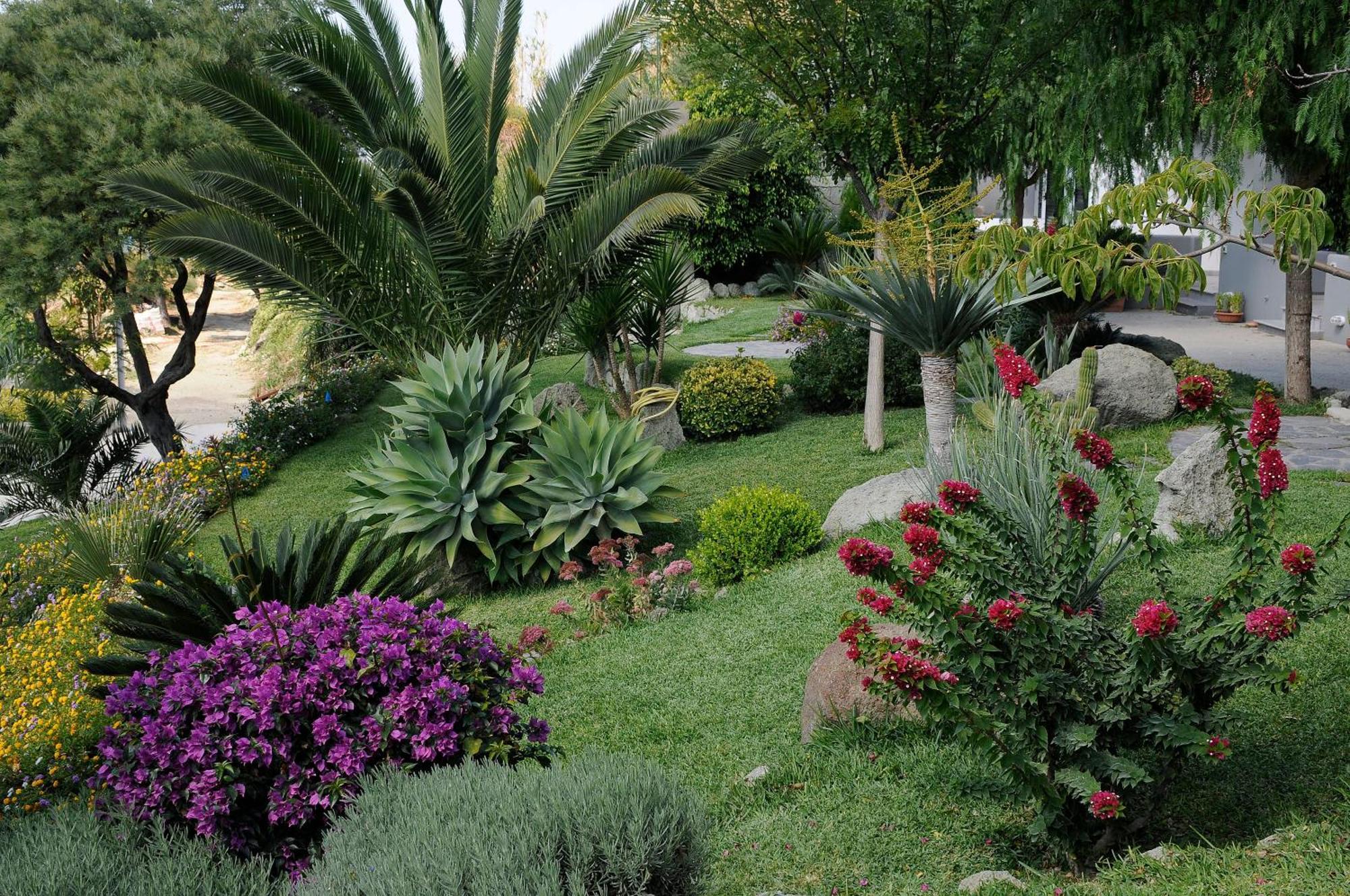 Casa Ischitana Forio di Ischia